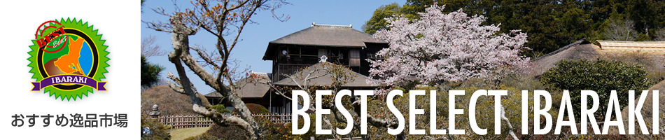 �������߈�i�s��