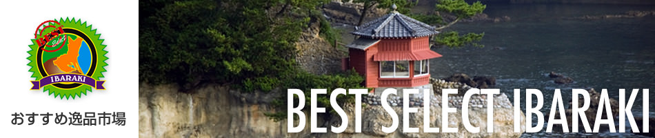 �������߈�i�s��